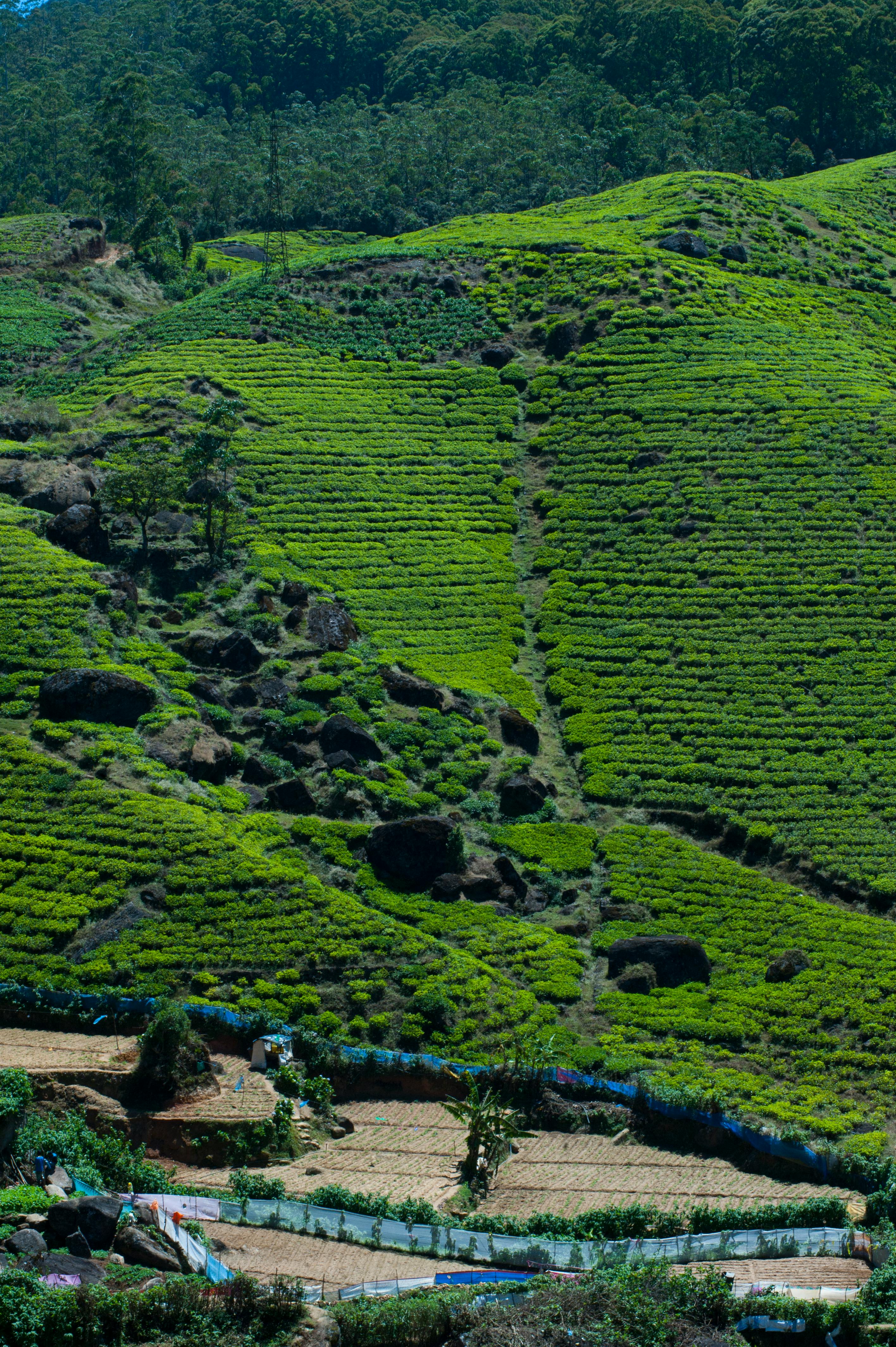 12 Days Cultural & Heritage Tour